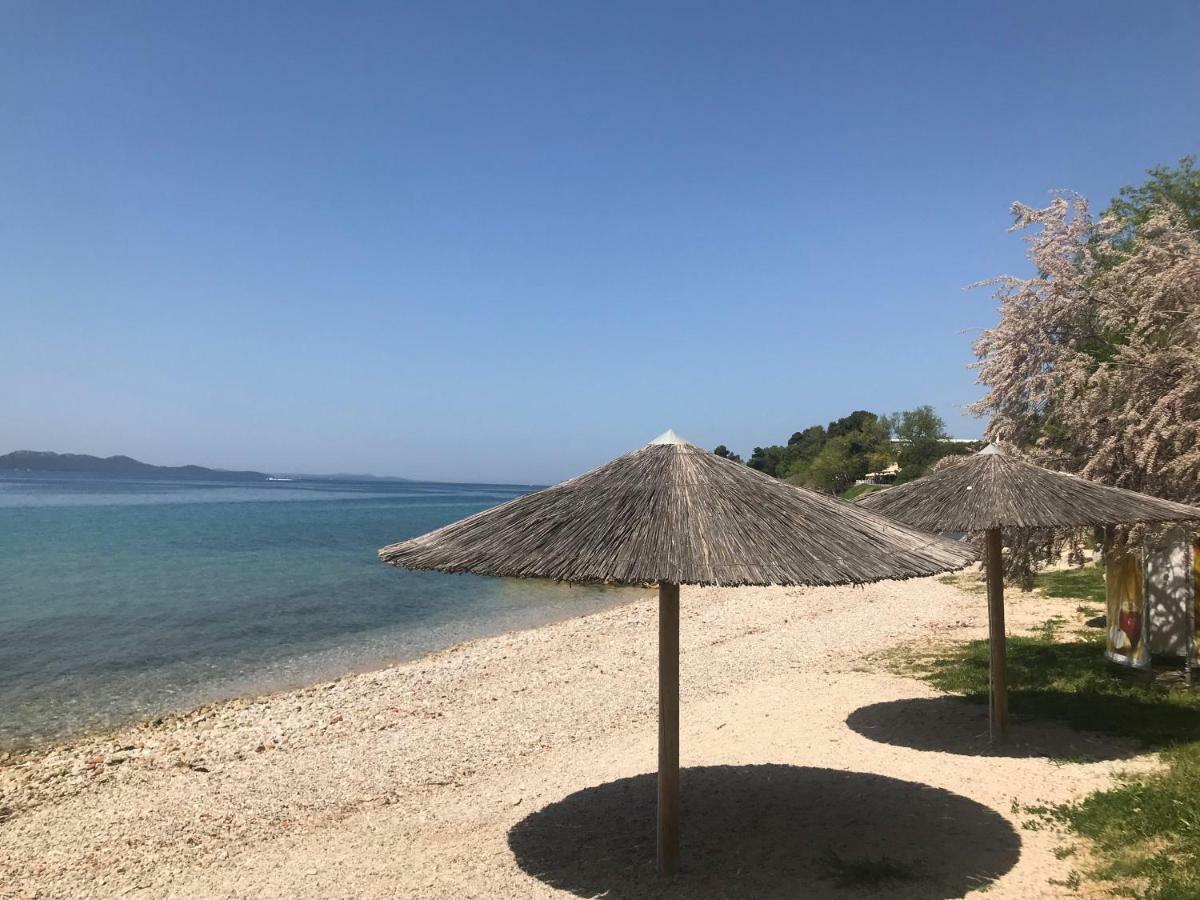 Lidija Daire Zadar Dış mekan fotoğraf