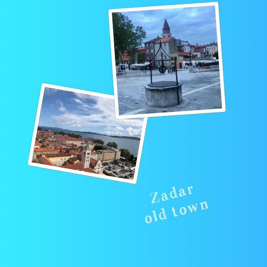 Lidija Daire Zadar Dış mekan fotoğraf